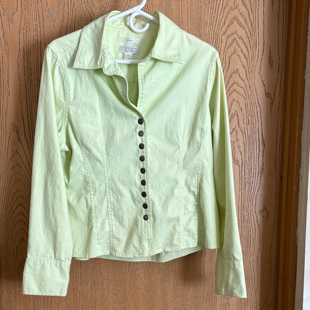 Christopher & Banks Pastel Green Button-Down Blouse